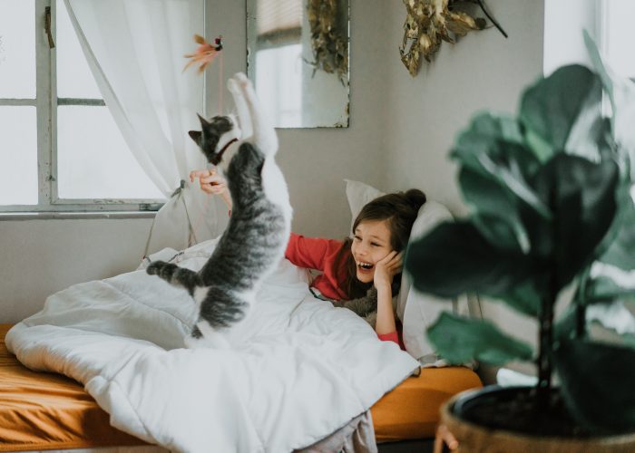 gato salta en la cama con niña