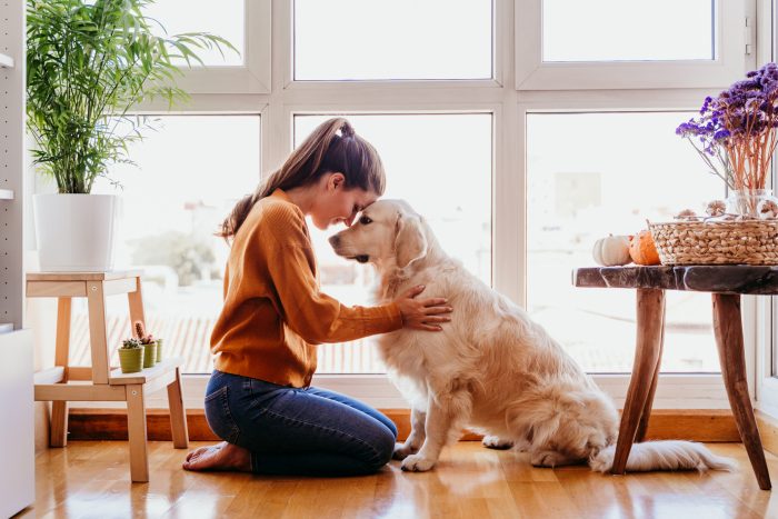 perro y dueña se quieren