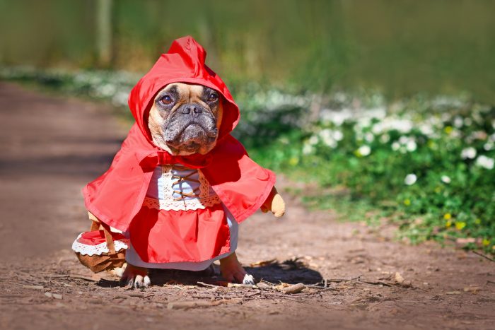 perro caperucita roja