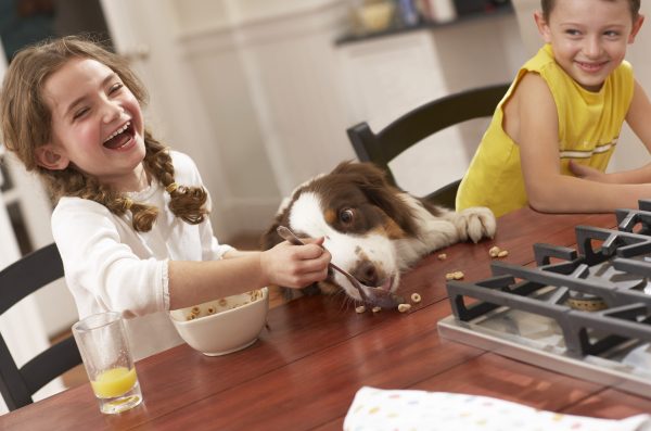 niña da cereales a su perro