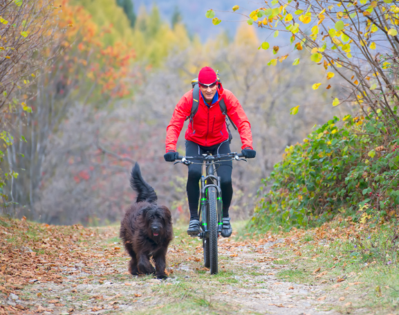 deporte con perros