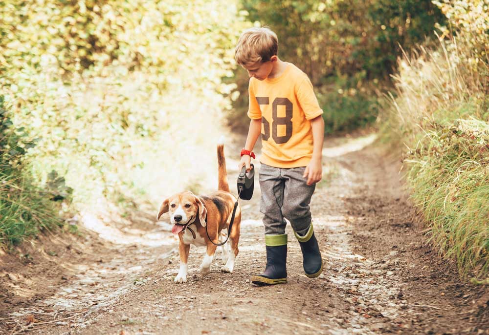 niño paseador de perros