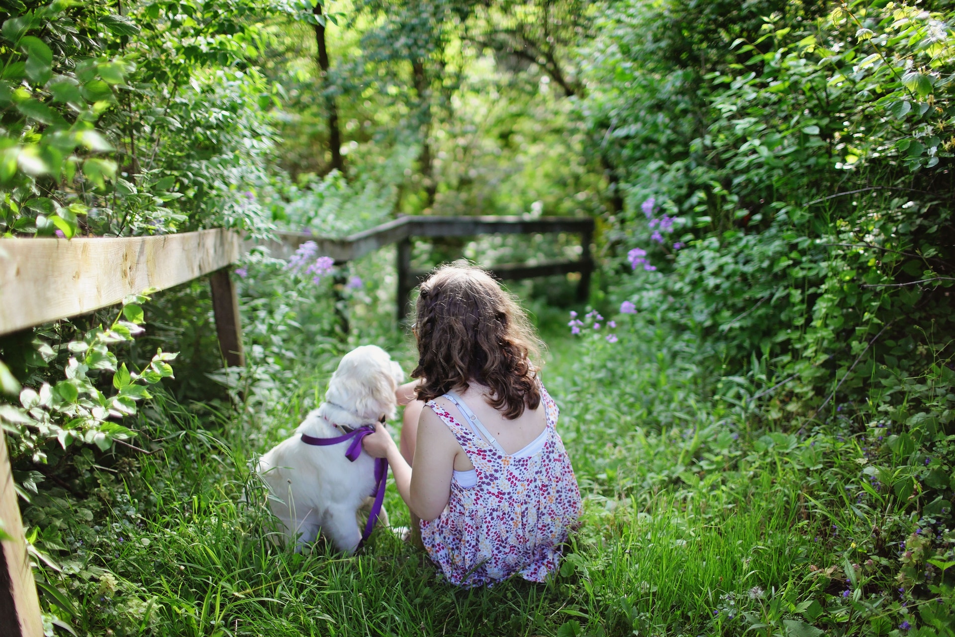 niños y perros