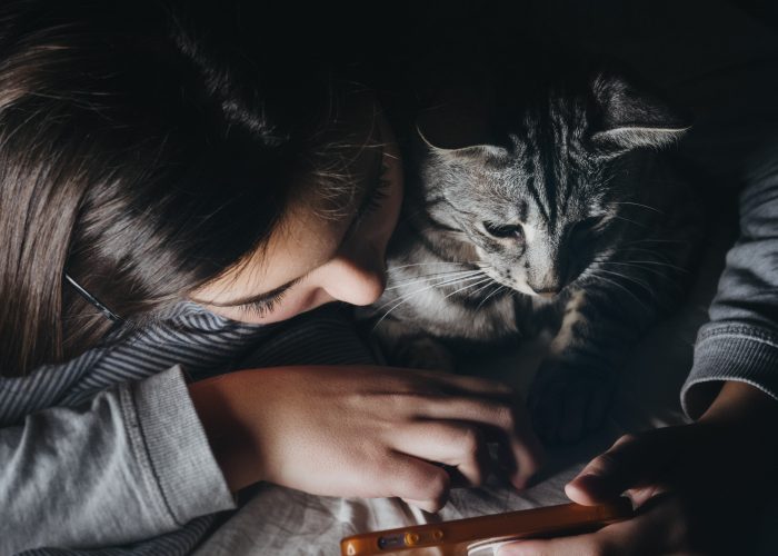 gato y mujer miran móvil