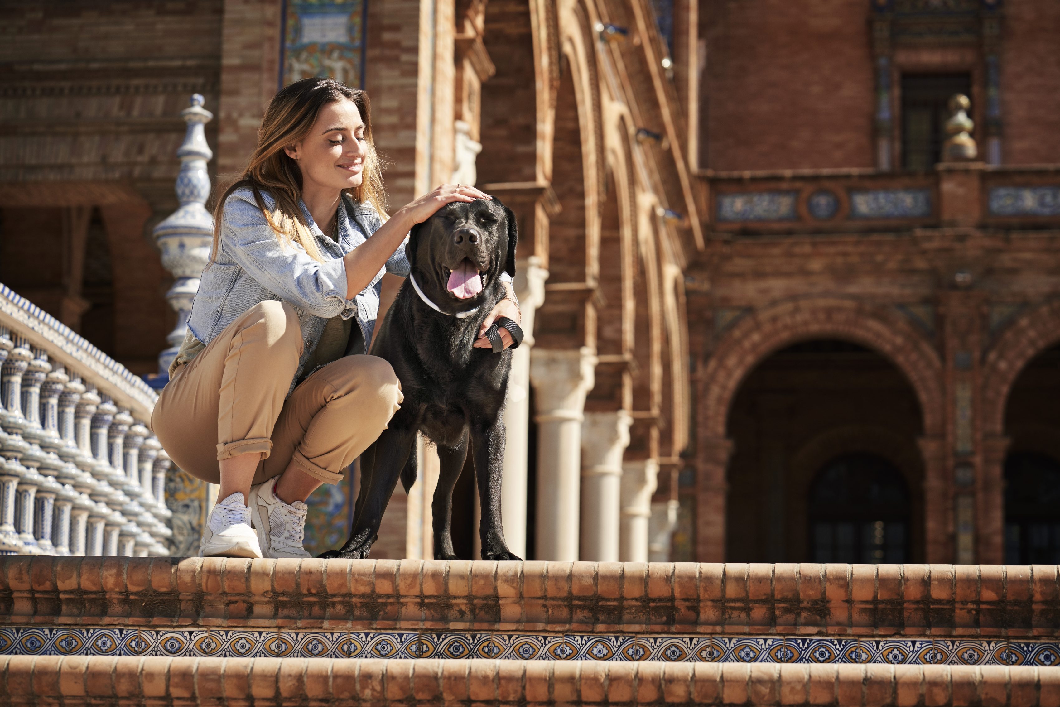 métodos para desparasitar a tu perro