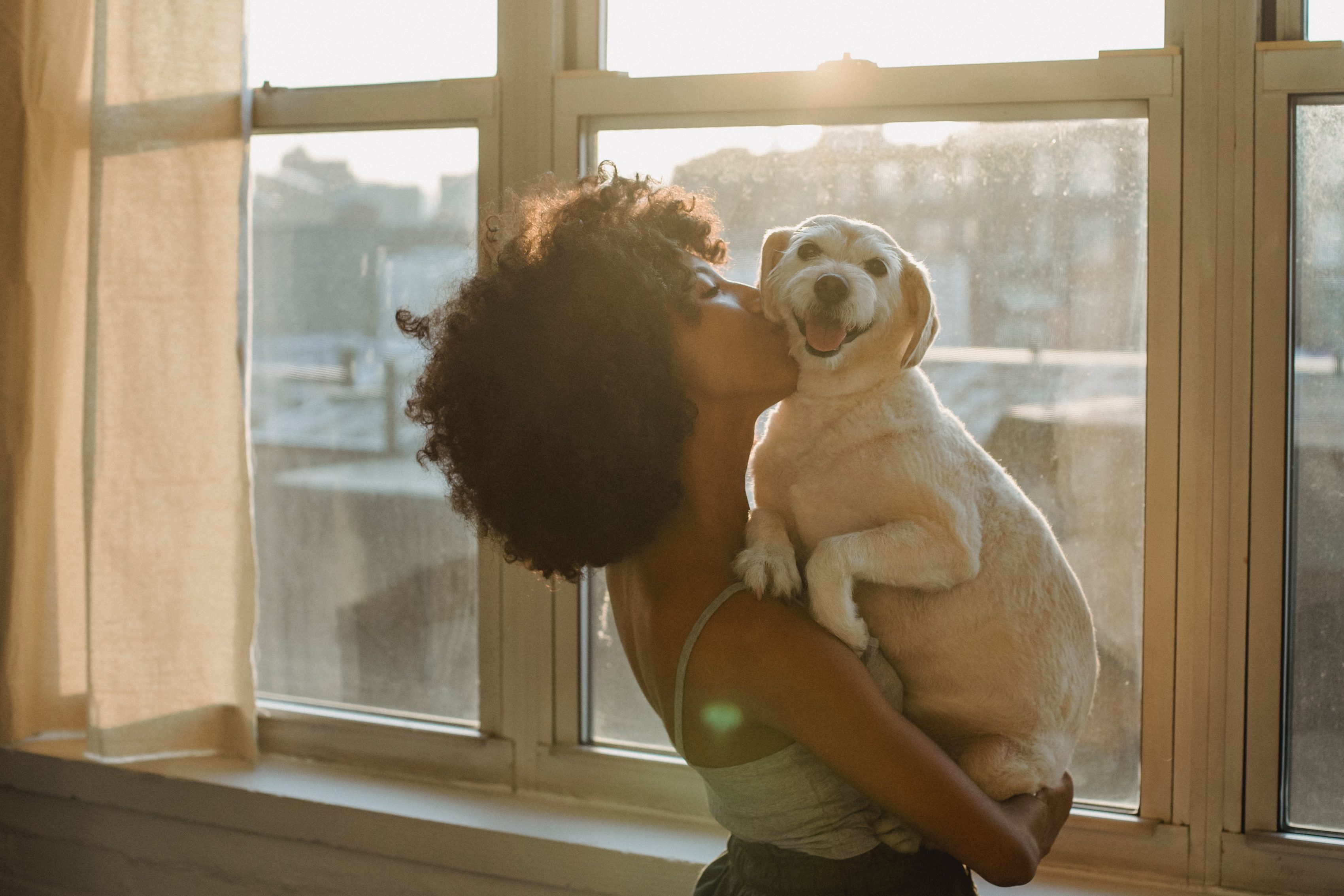 LA LLEGADA DE UN PERRO A SU NUEVA CASA