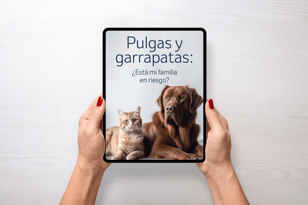 Manos sosteniendo un iPad