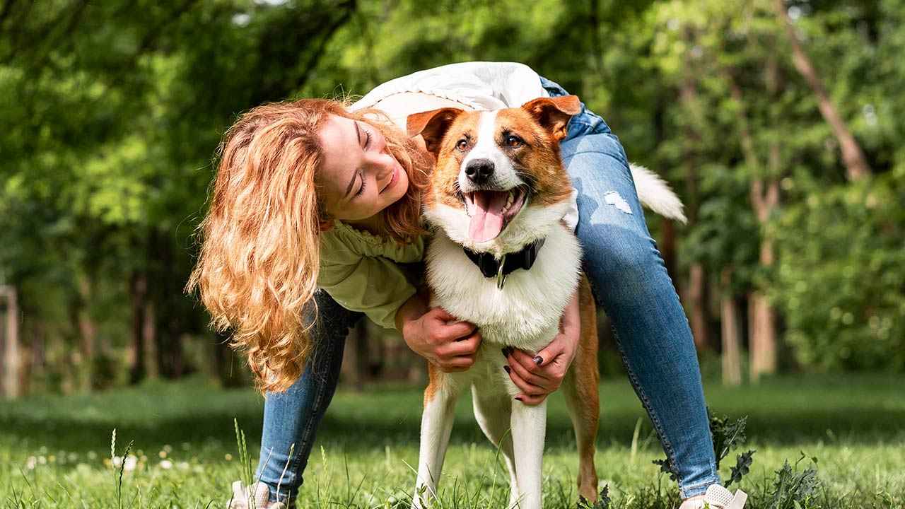 Divertidas actividades para jugar con tu mascota